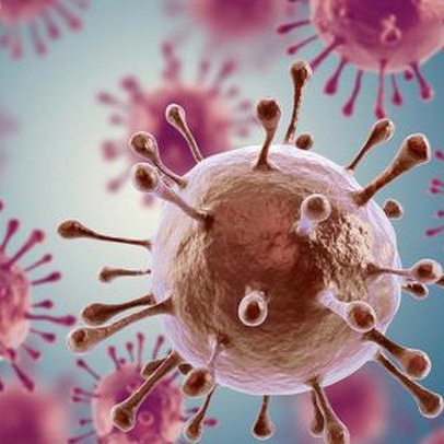 Các quan điểm về nguyên nhân gây ung thư